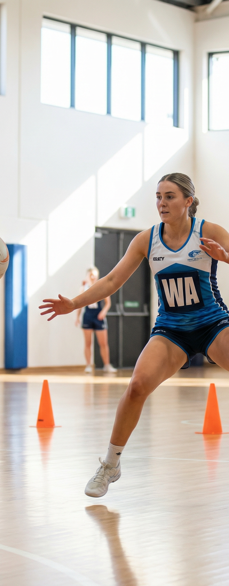 Article illustration